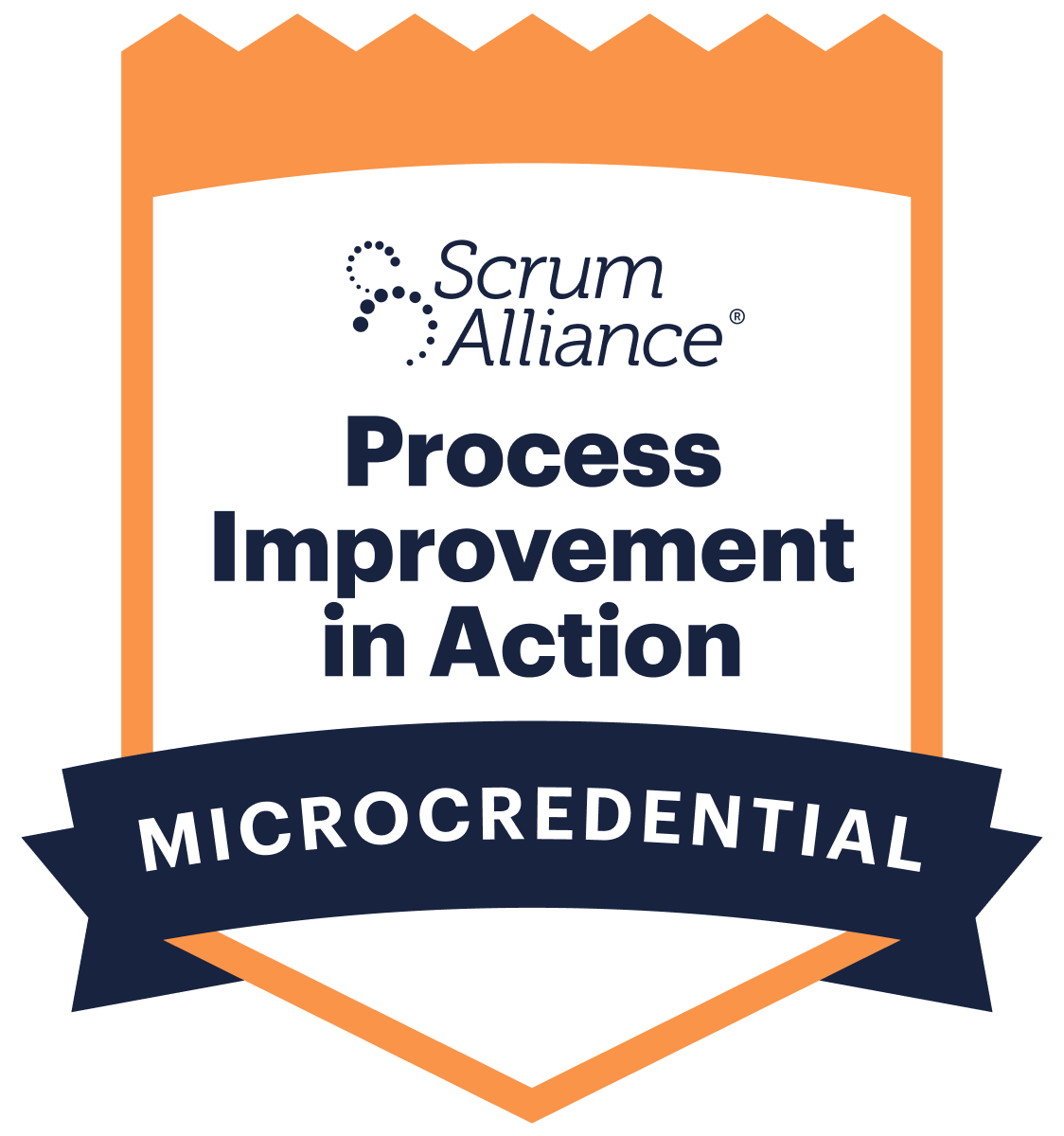 Process Improvement: From Analysis to Action Micro-credential